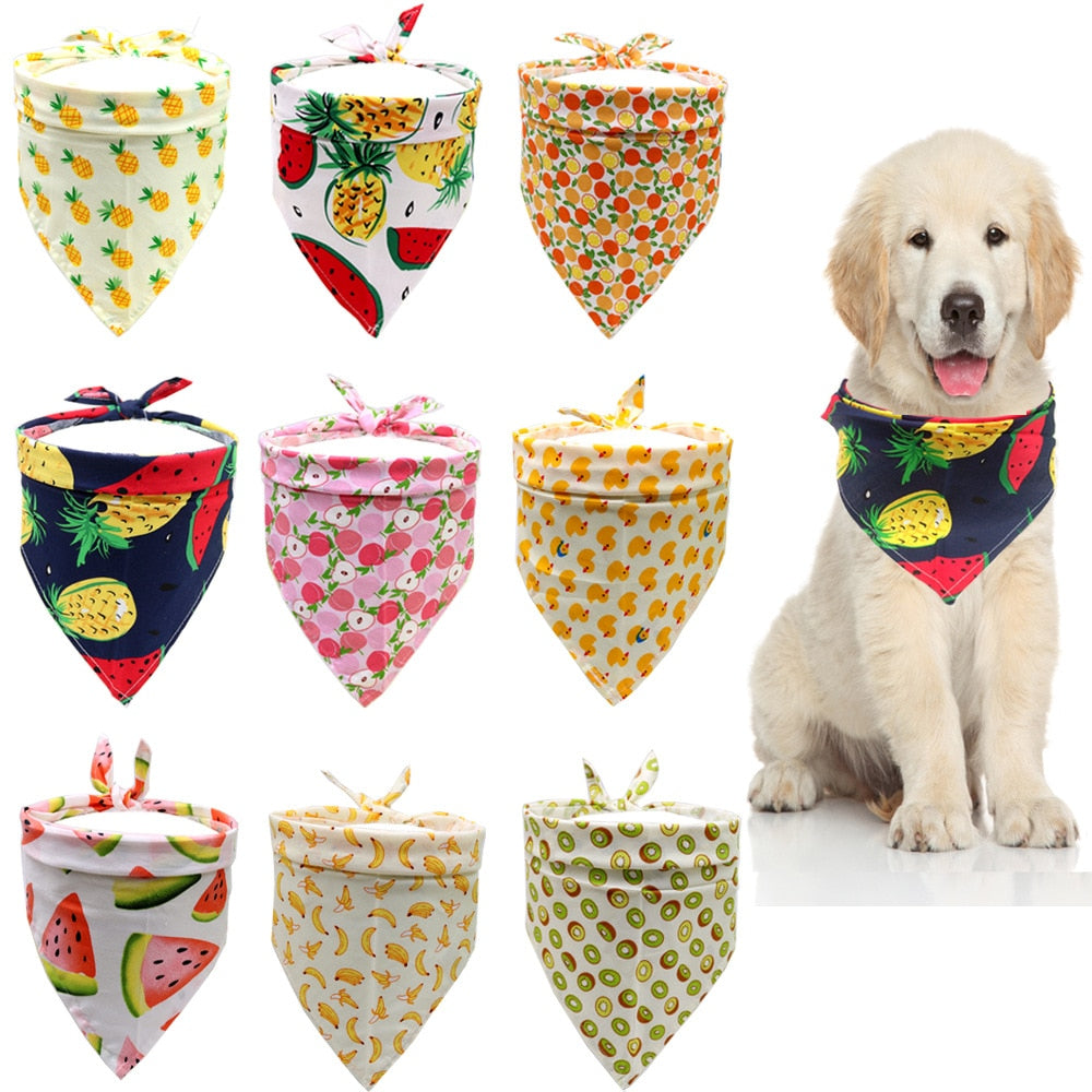 Pinkapple Bandana