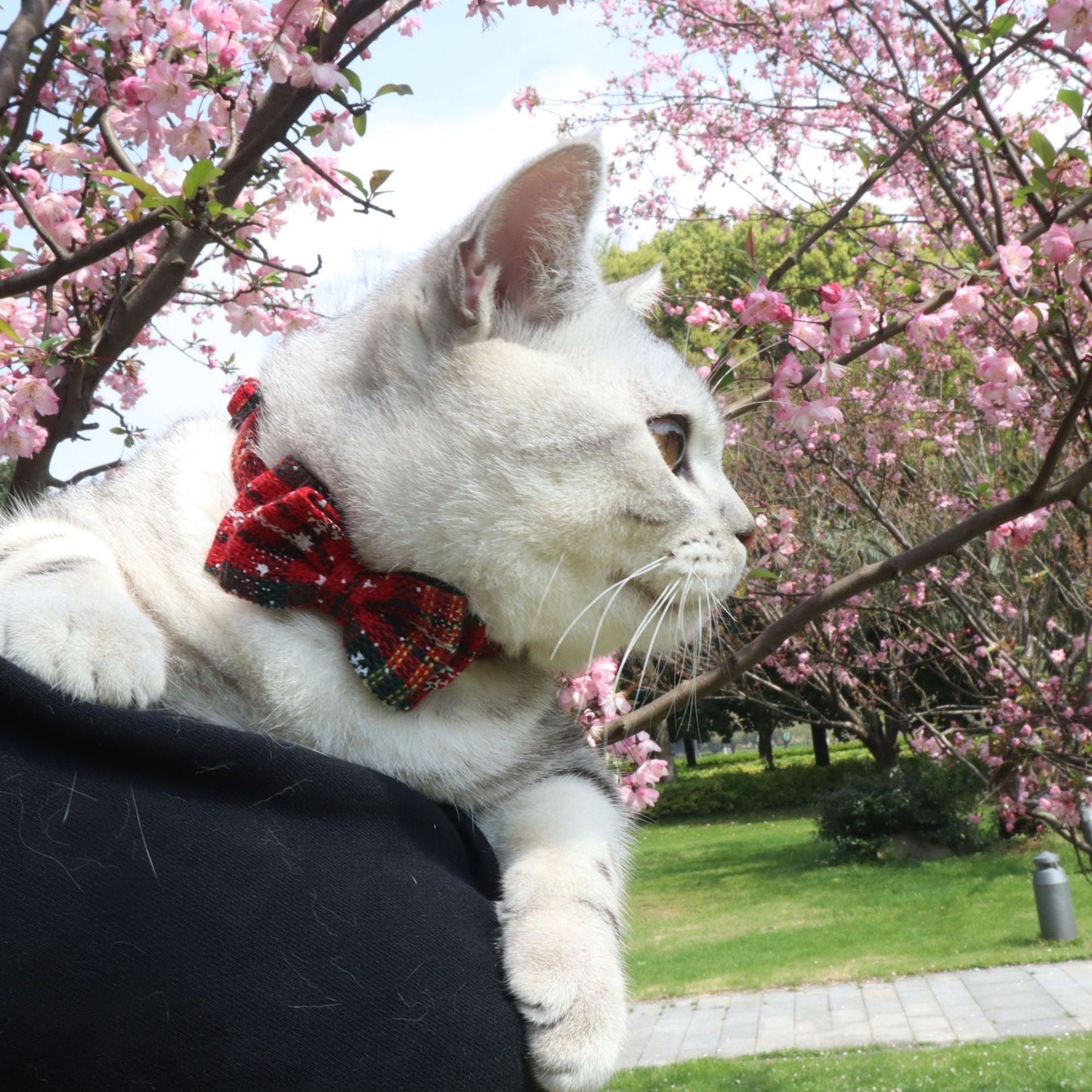 Cute Bowknot Collars Christmas