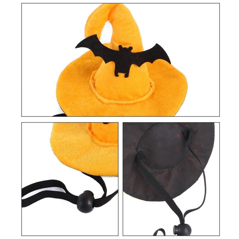 Pack Halloween Cat