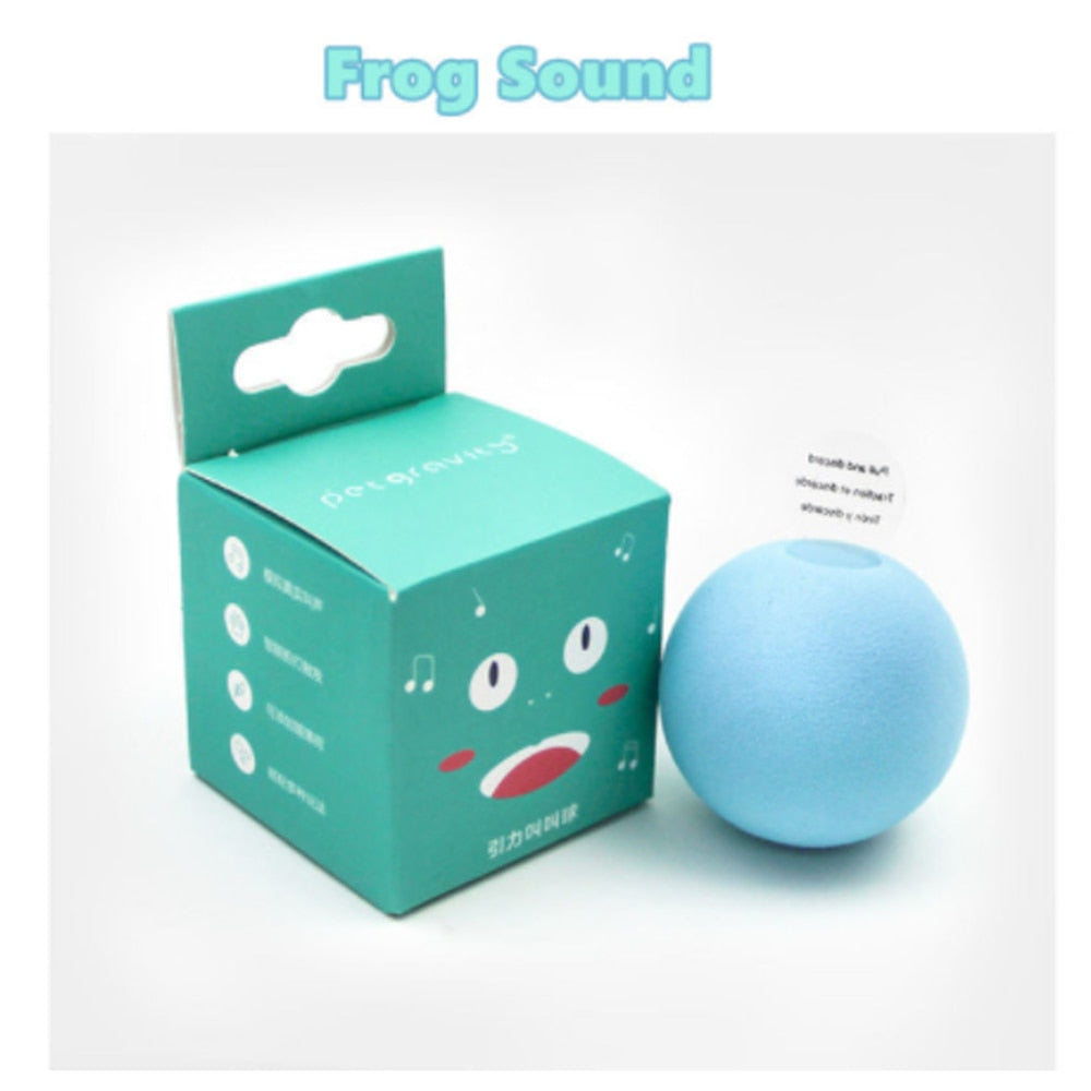 Toys Interactive Ball with Catnip