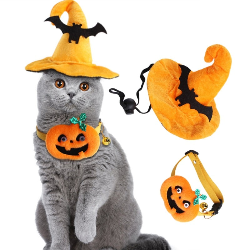 Pack Halloween Cat