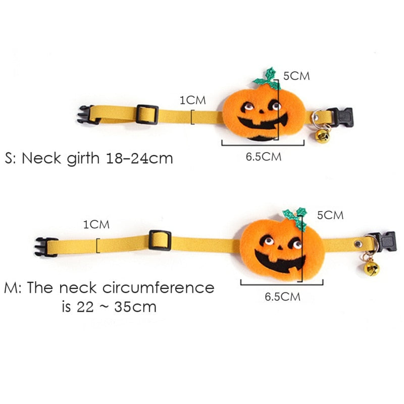 Pack Halloween Cat