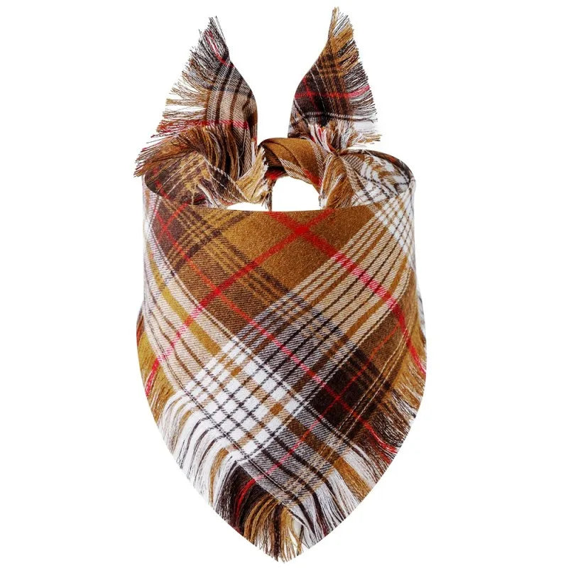 Luxury Pinko Bandnana