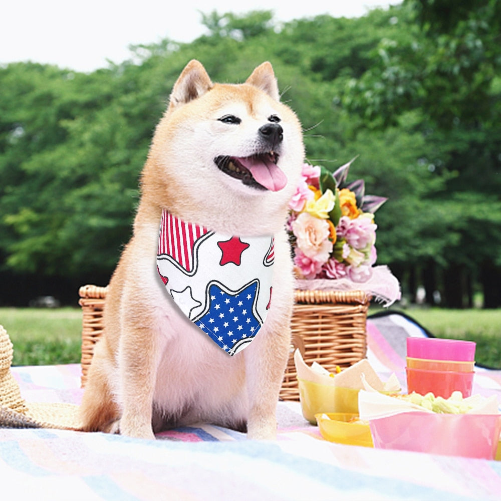 Strawberry Bandana