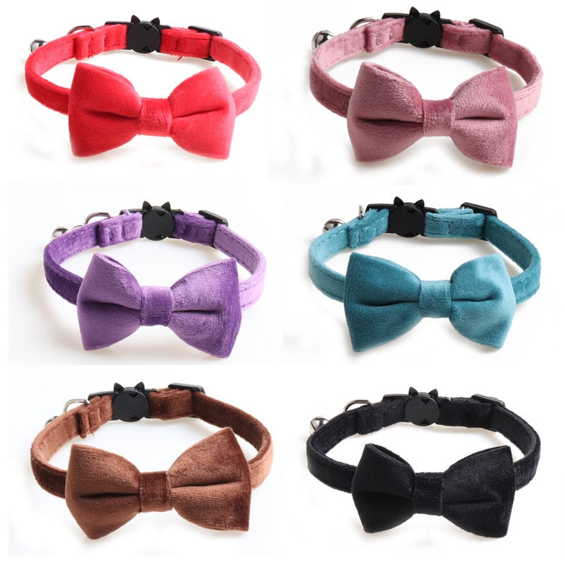 Velvet Collar