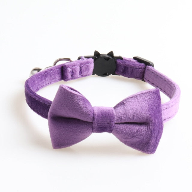 Velvet Collar