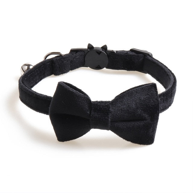 Velvet Collar