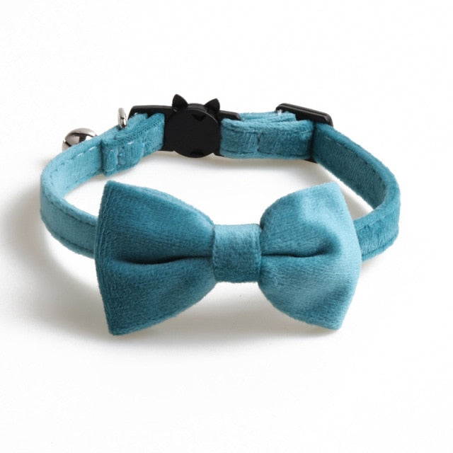 Velvet Collar