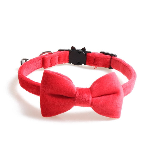 Velvet Collar