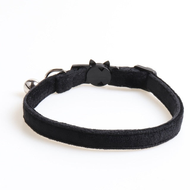 Velvet Collar
