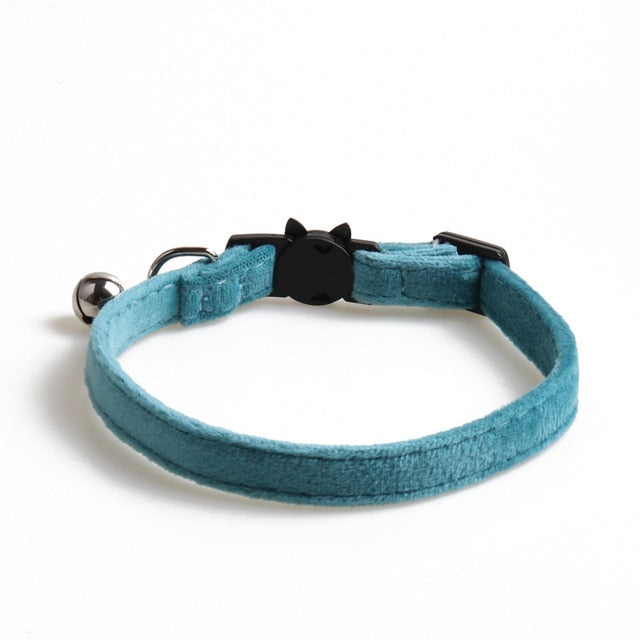 Velvet Collar