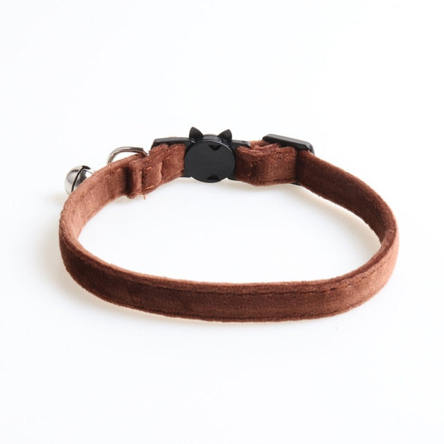 Velvet Collar