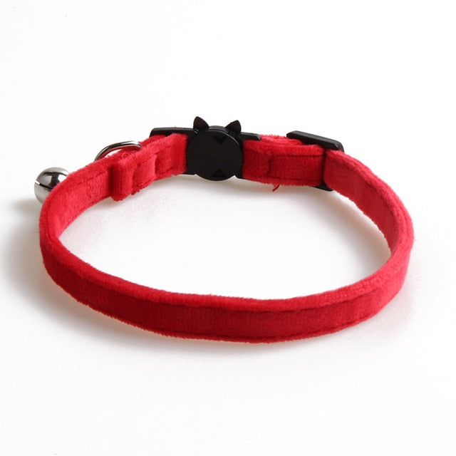 Velvet Collar