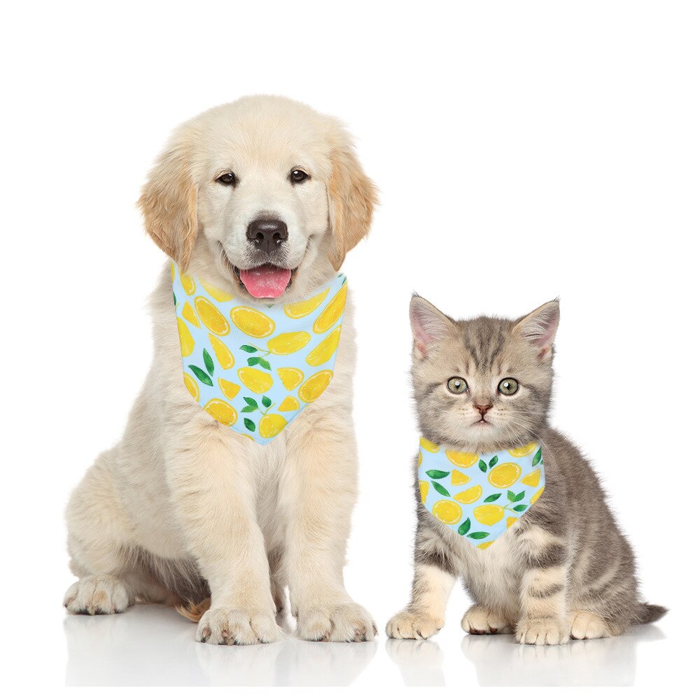 Bibs Bandana
