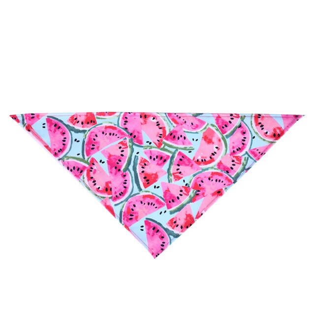 Bibs Bandana
