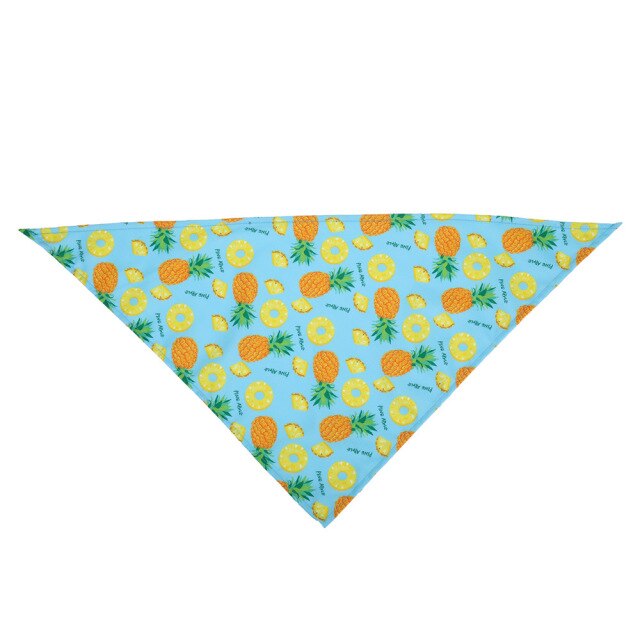 Bibs Bandana