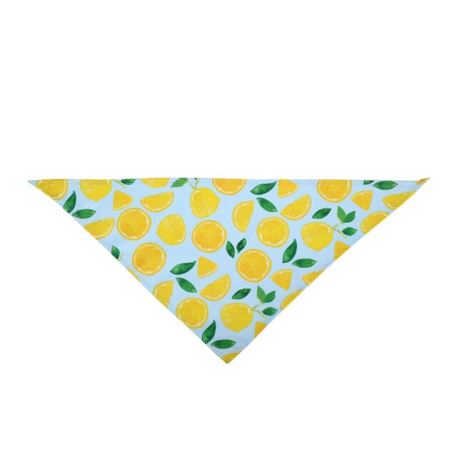 Bibs Bandana