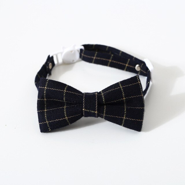 Leopard Print Collar