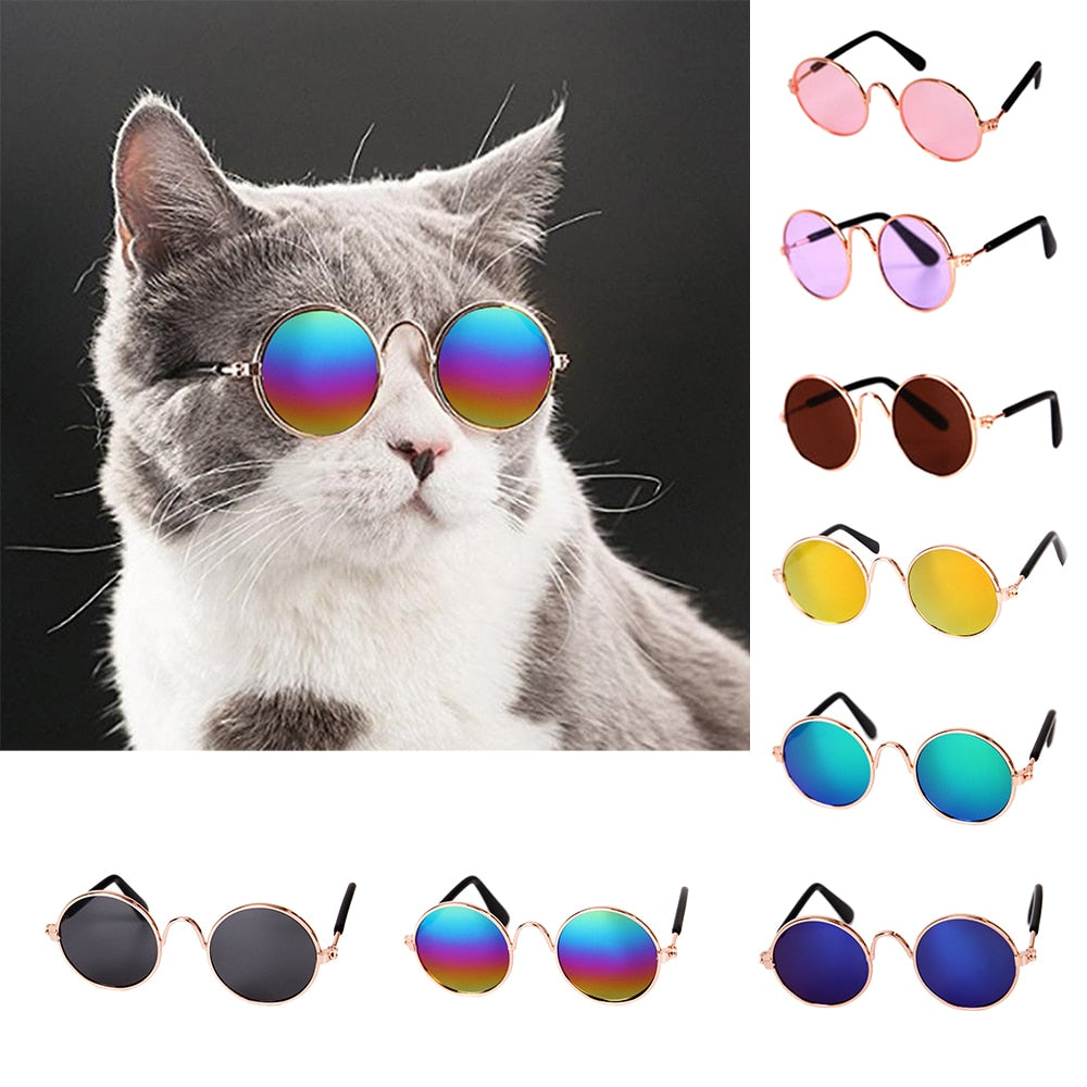 Cat Sunglasses