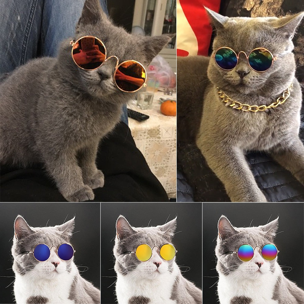 Cat Sunglasses