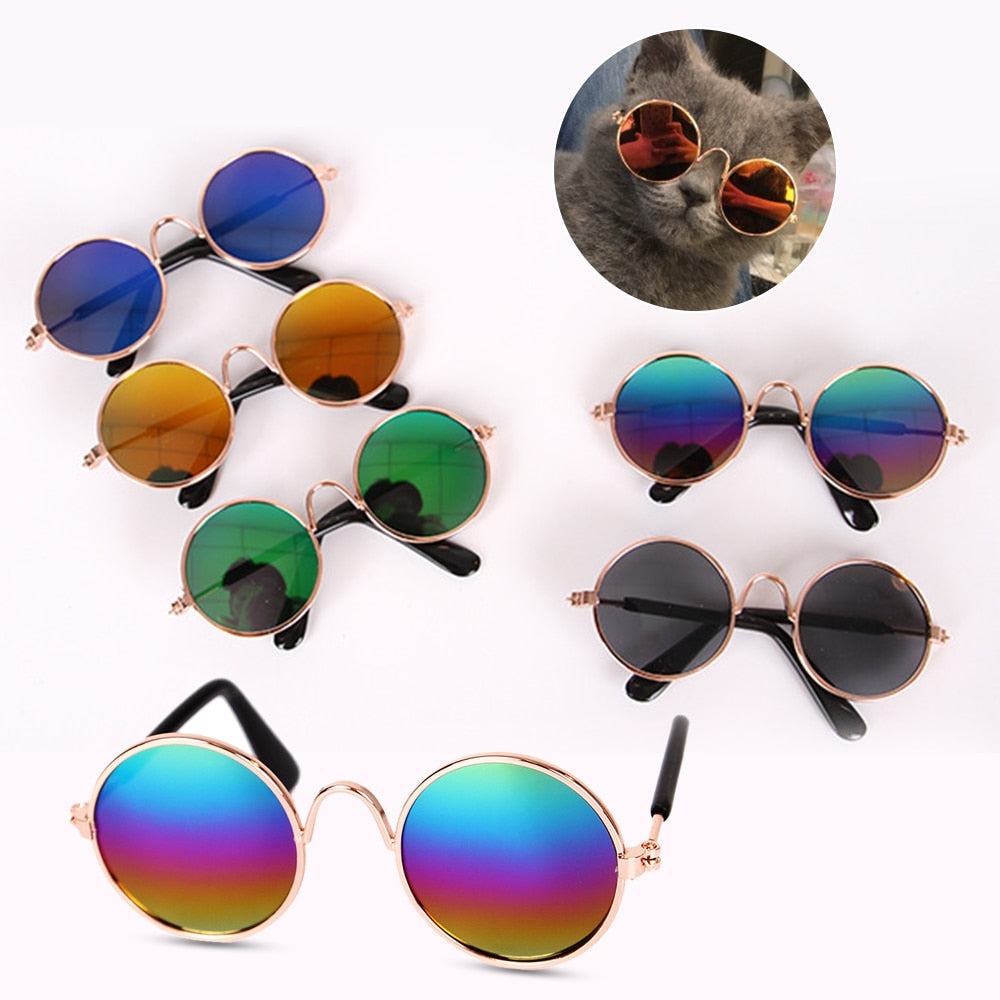 Cat Sunglasses
