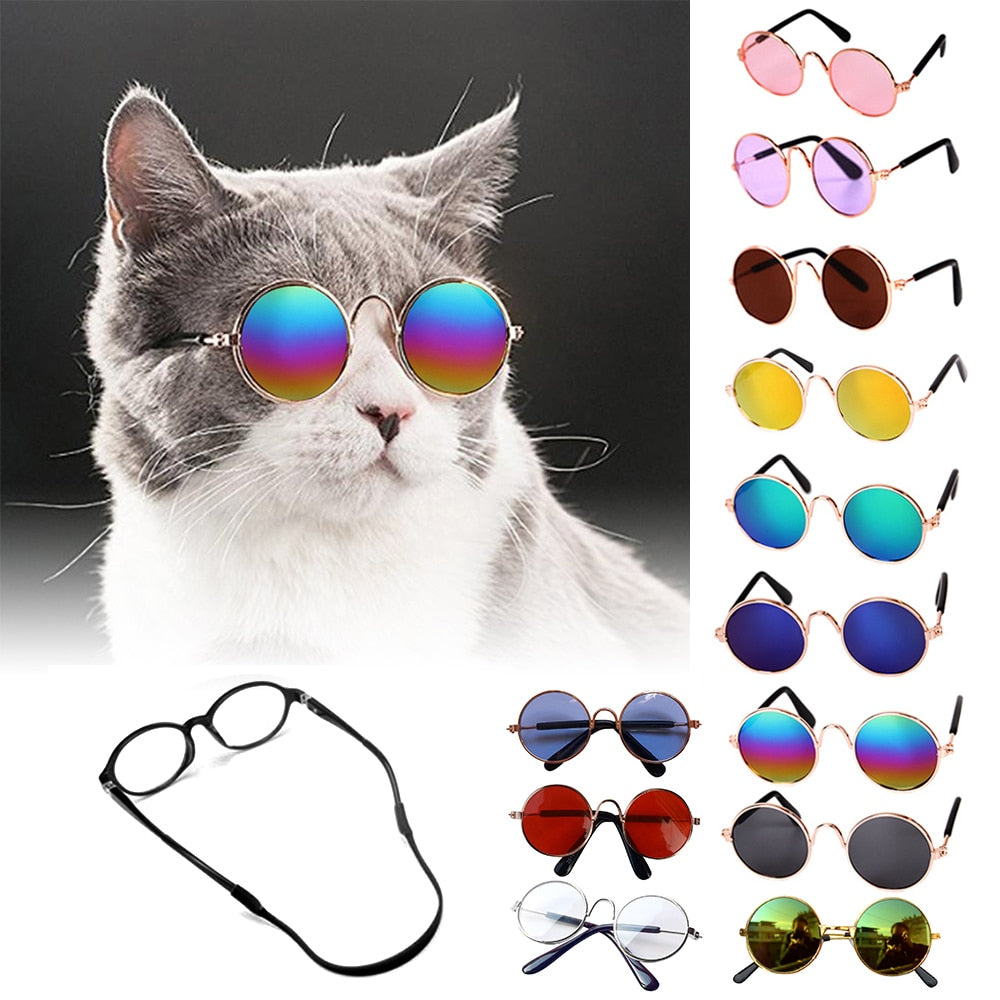 Cat Sunglasses