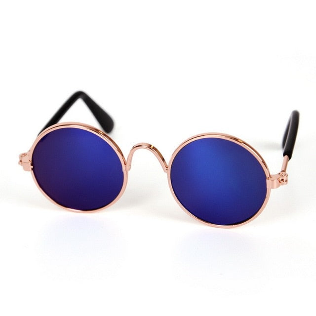 Cat Sunglasses