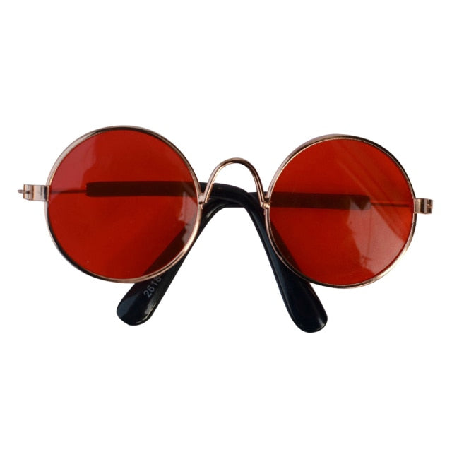 Cat Sunglasses