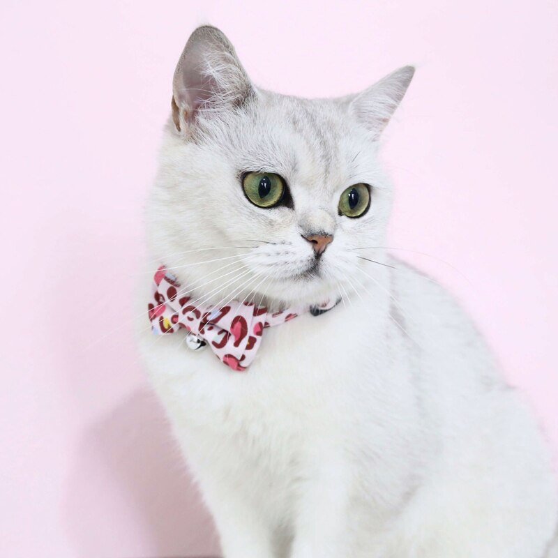 Mira Collar