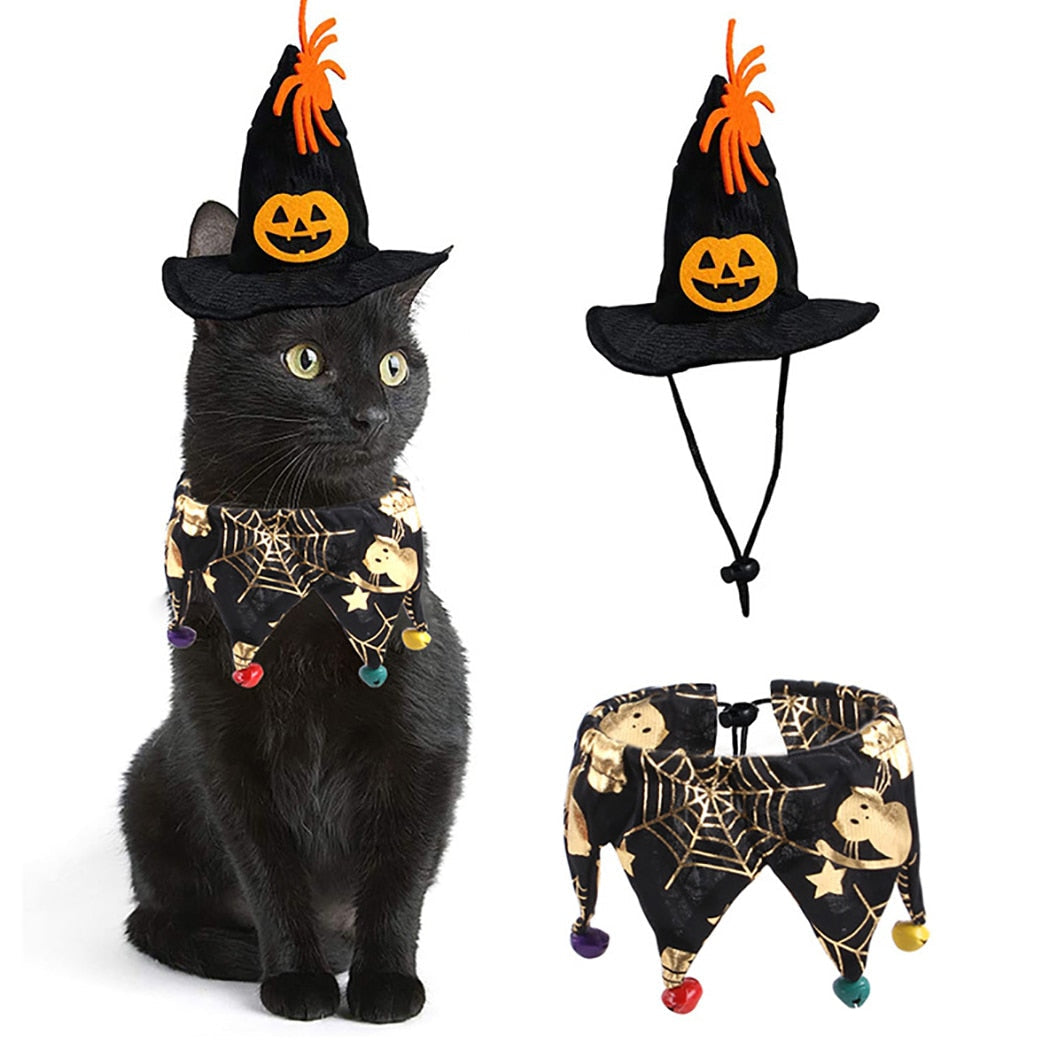 Cat Witch Hat and Collar Halloween costumes