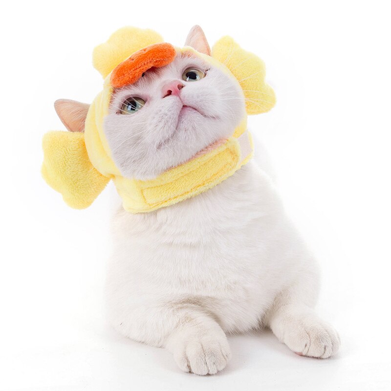 Cute Cat Caps