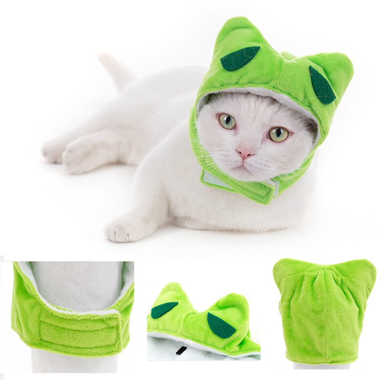 Cute Cat Caps