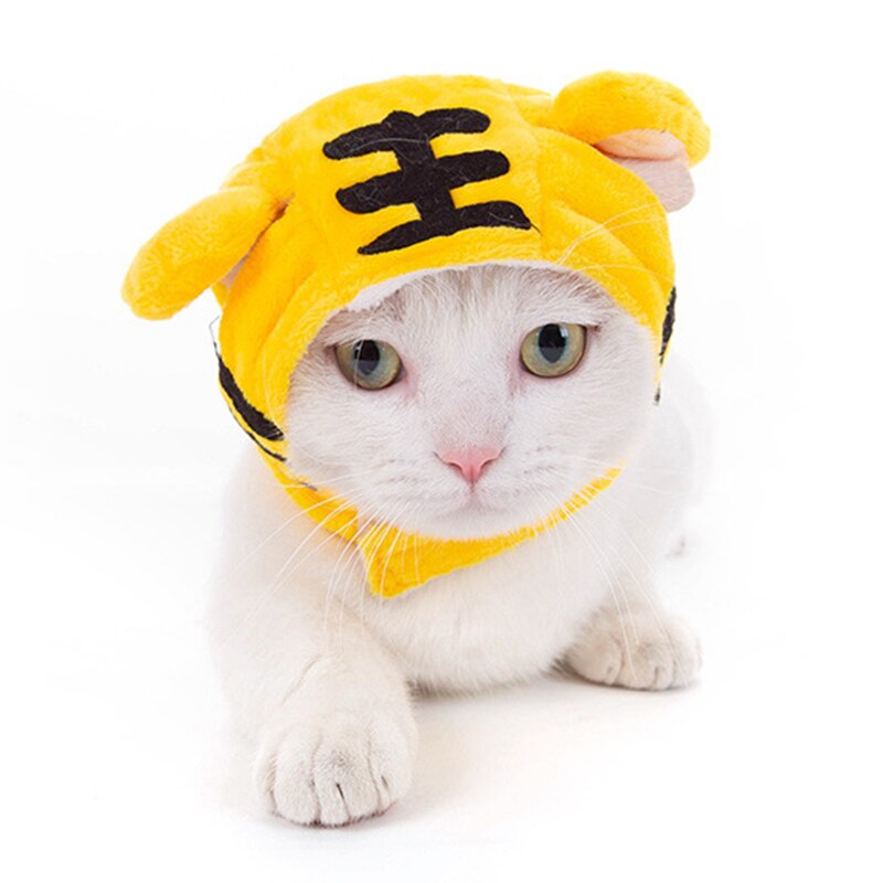 Cute Cat Caps