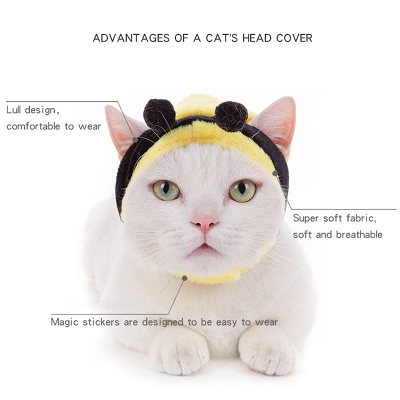 Cute Cat Caps