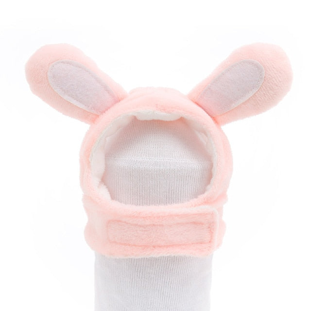 Cute Cat Caps