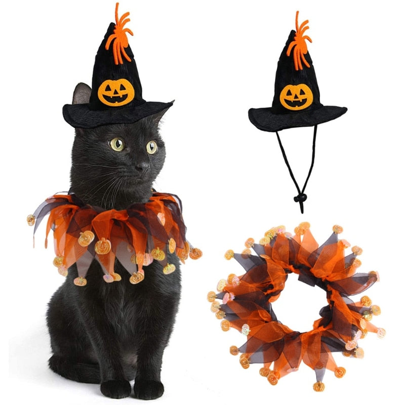 Cat Halloween costumes
