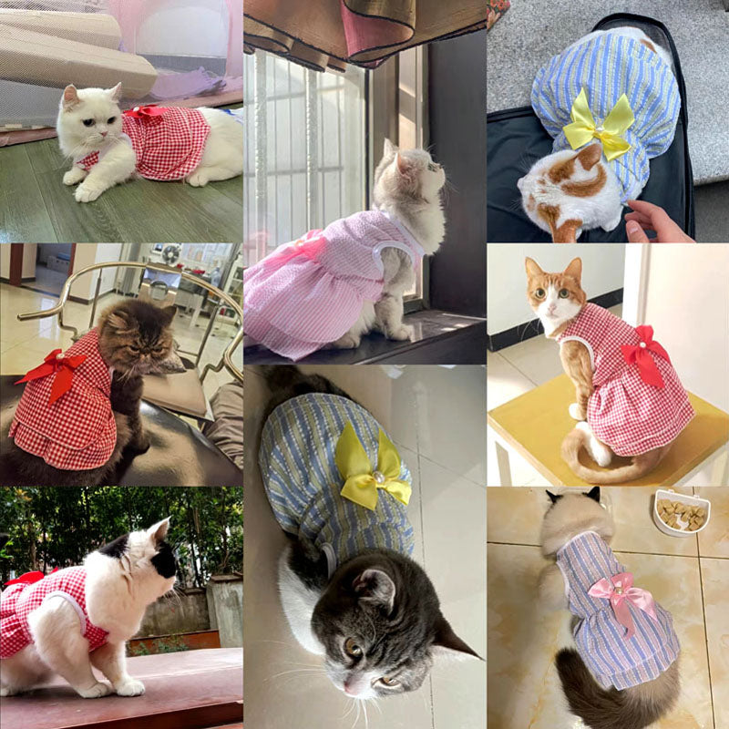 Summer Dresses