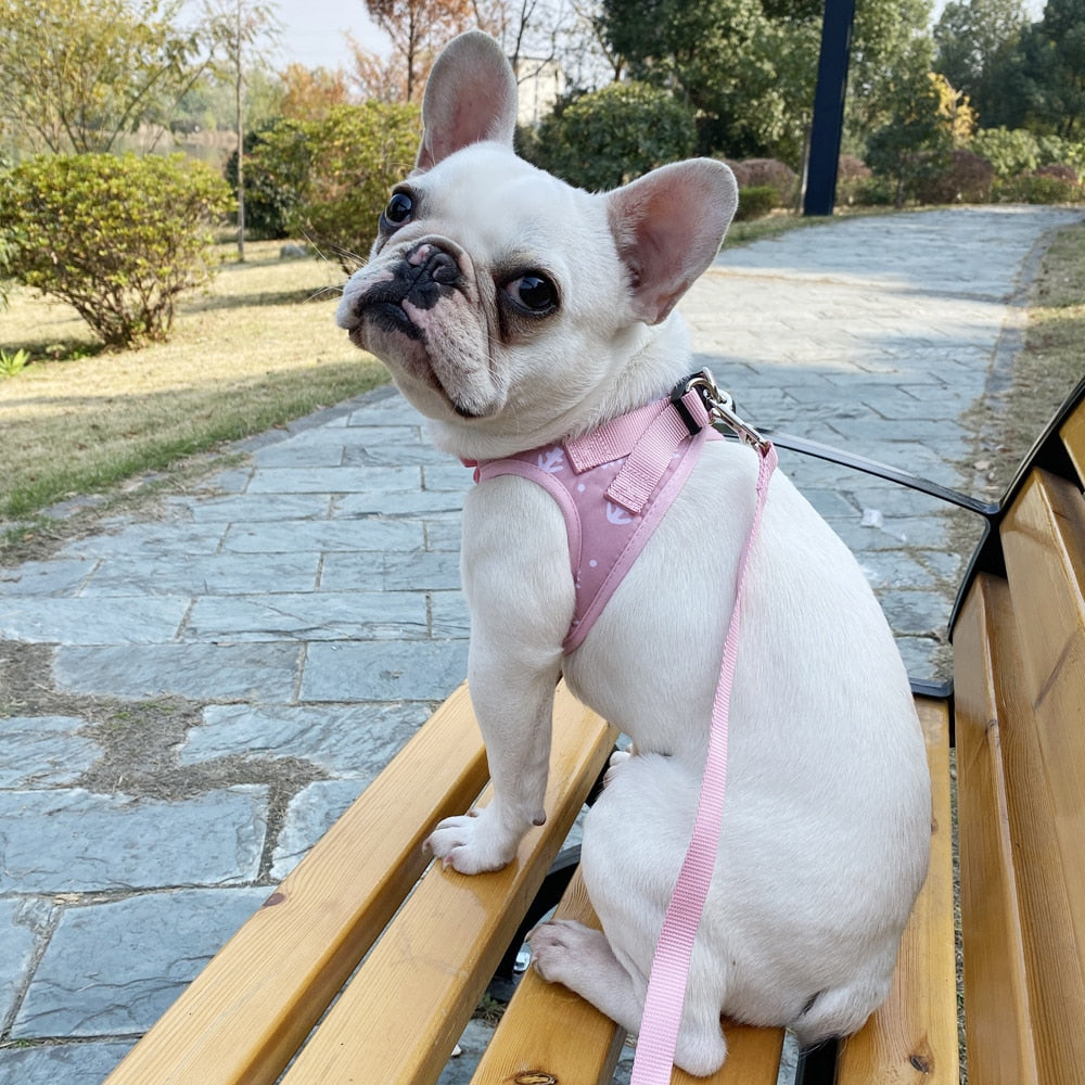 Adjustable Cat Harness Breathable