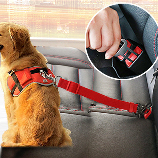 Dog Collar and Seat Belt New Vehicle Car